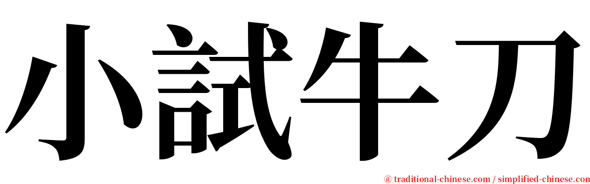 小試牛刀 serif font