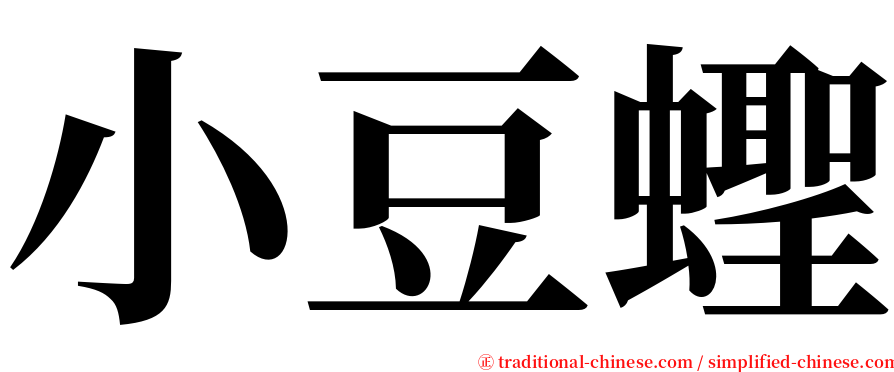 小豆蟶 serif font