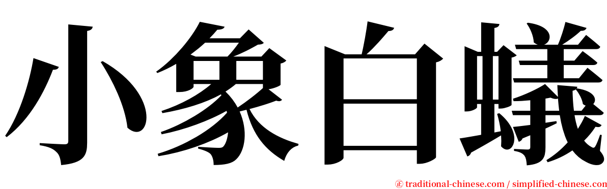 小象白蟻 serif font