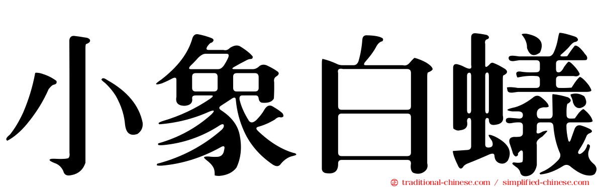 小象白蟻