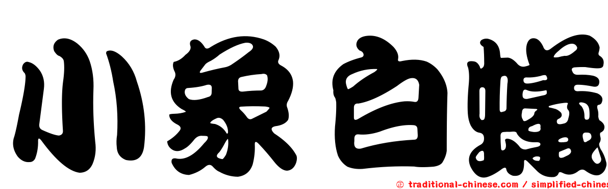 小象白蟻