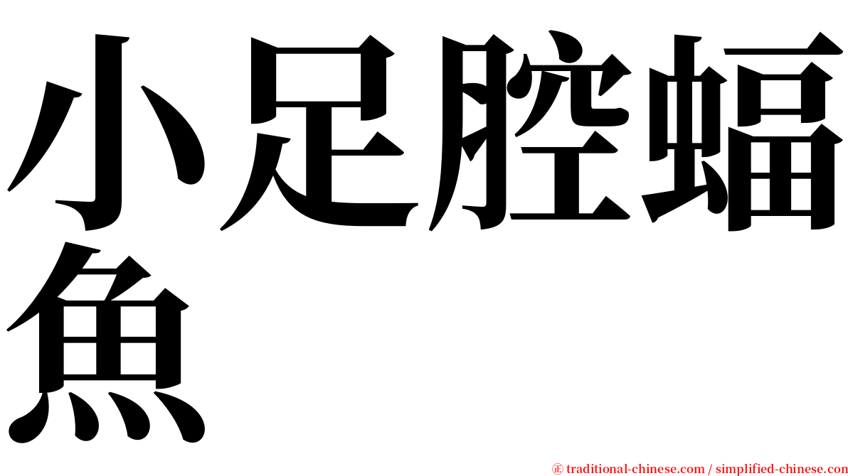 小足腔蝠魚 serif font