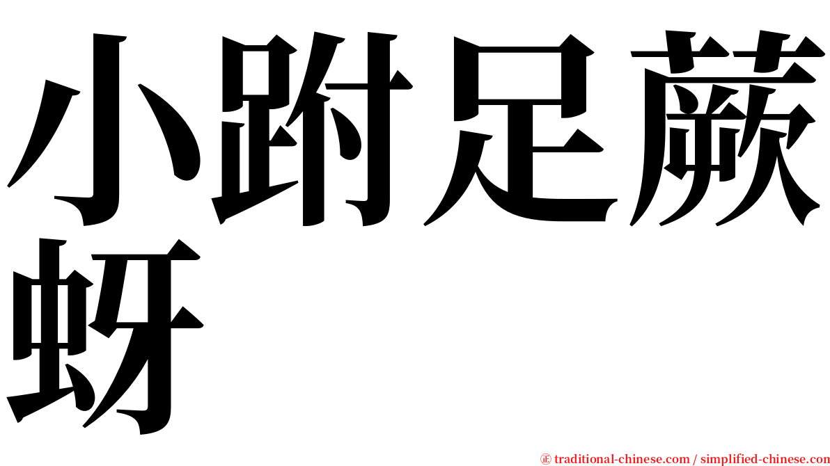 小跗足蕨蚜 serif font