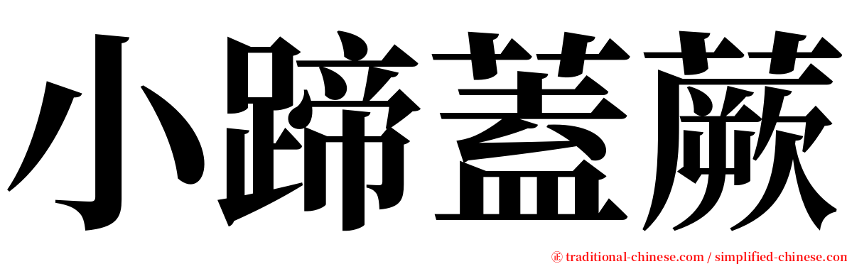 小蹄蓋蕨 serif font