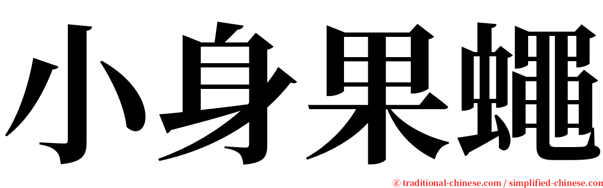 小身果蠅 serif font