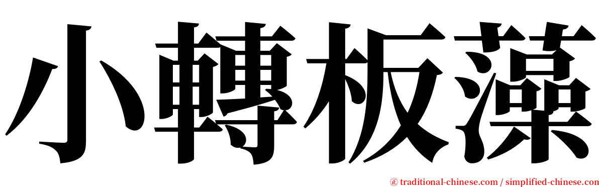 小轉板藻 serif font