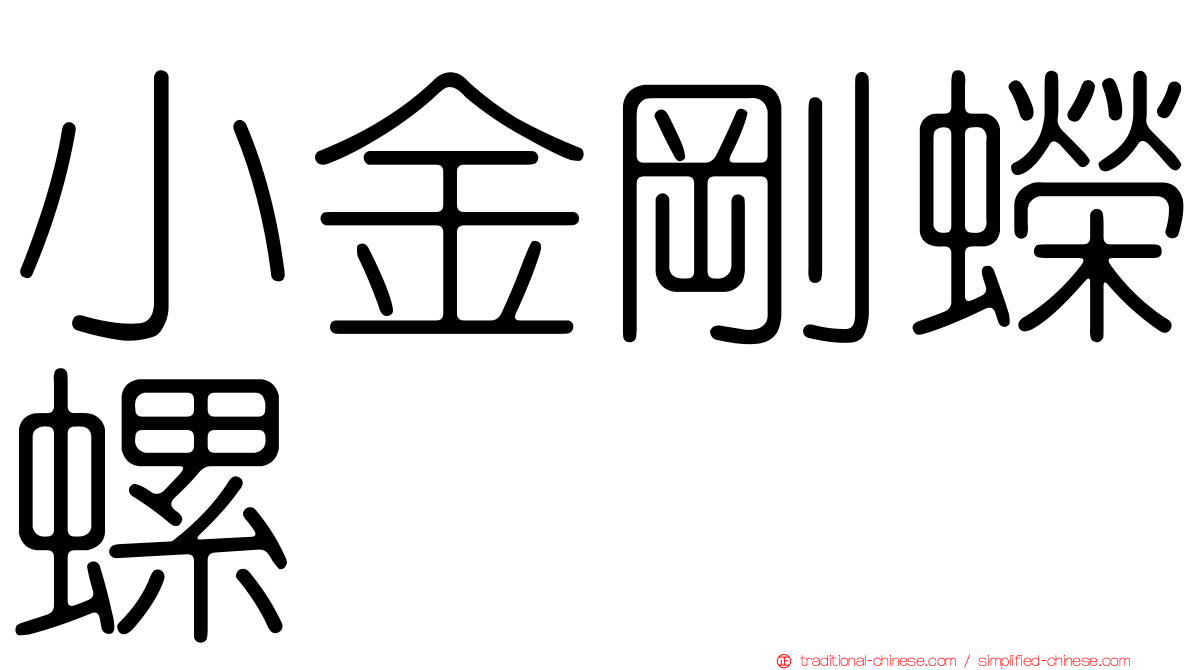 小金剛蠑螺