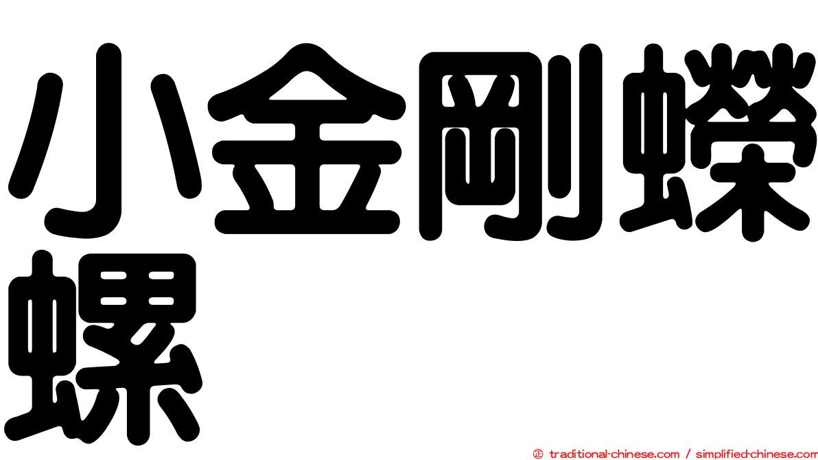 小金剛蠑螺
