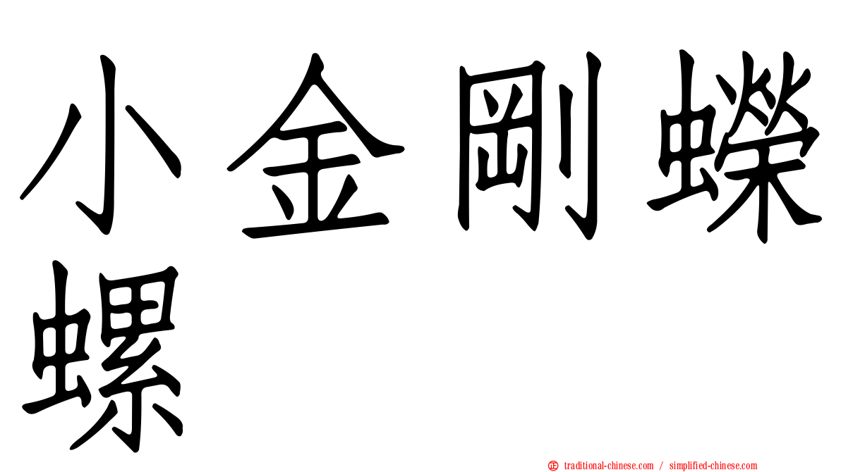 小金剛蠑螺