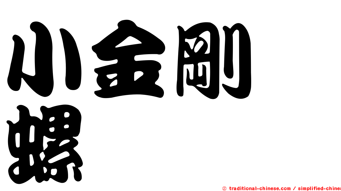 小金剛蠑螺