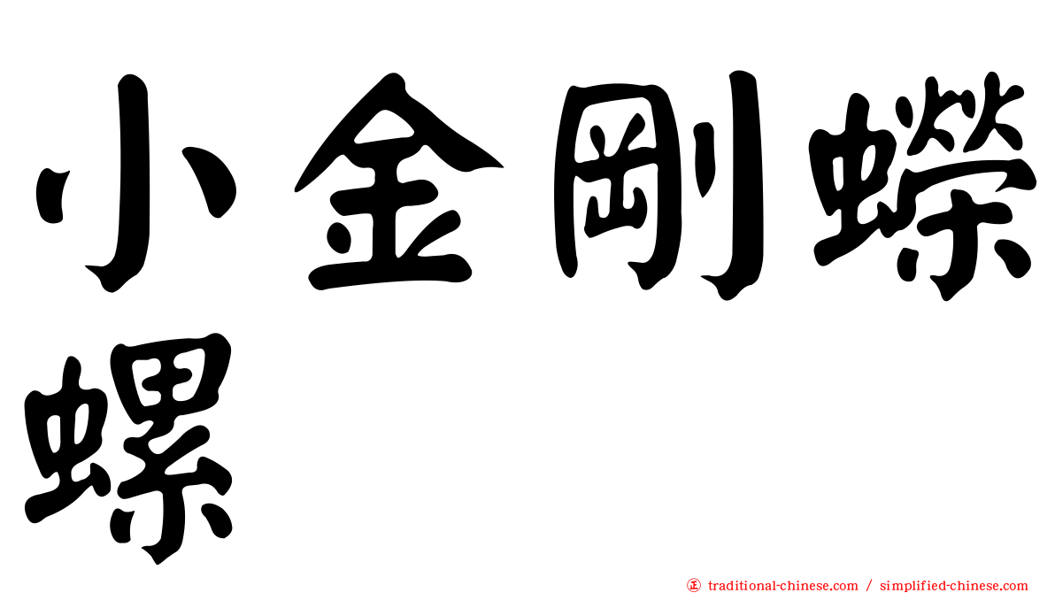 小金剛蠑螺