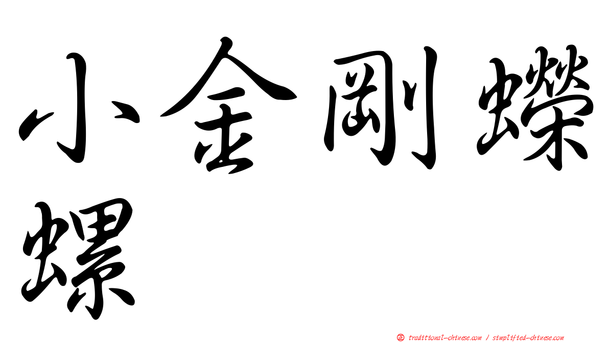 小金剛蠑螺