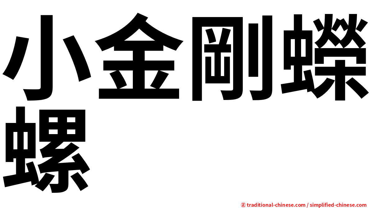 小金剛蠑螺