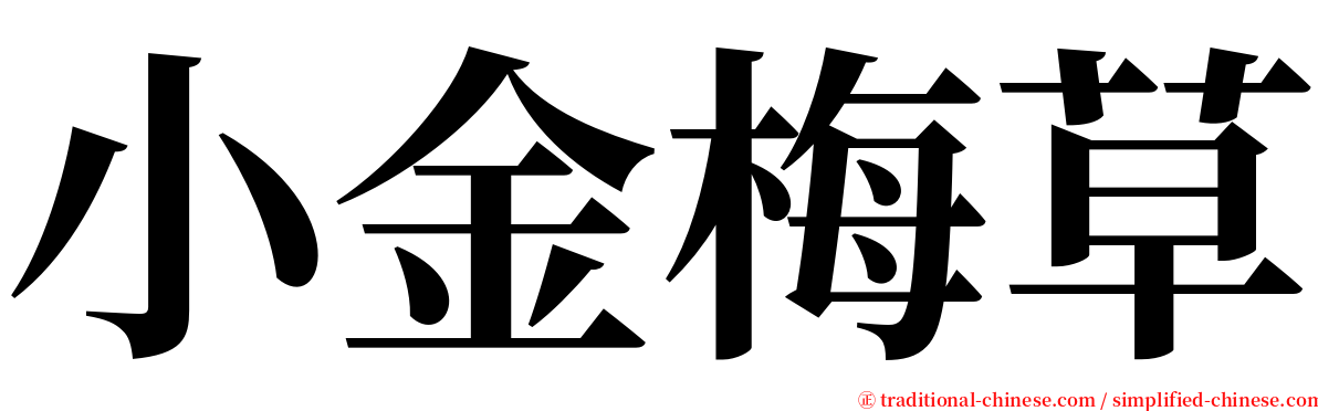 小金梅草 serif font