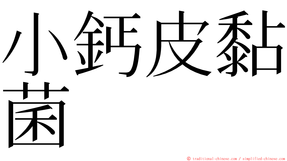 小鈣皮黏菌 ming font