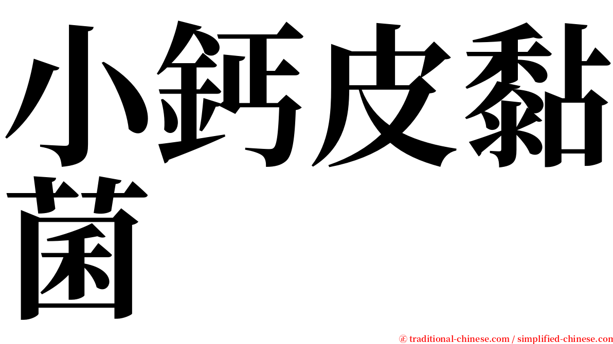 小鈣皮黏菌 serif font