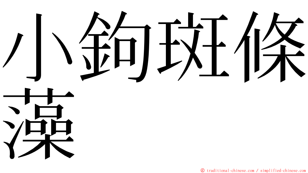 小鉤斑條藻 ming font