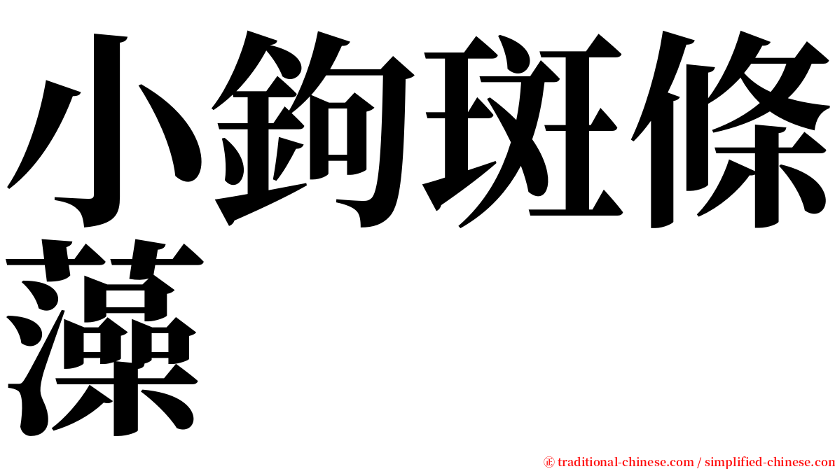 小鉤斑條藻 serif font