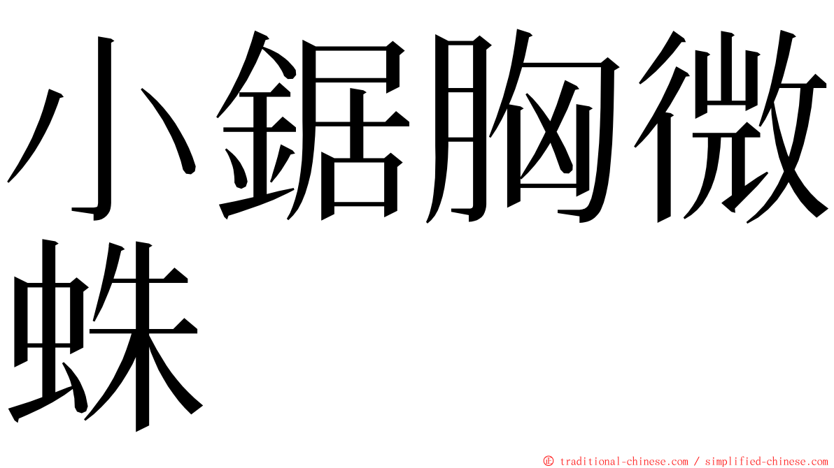 小鋸胸微蛛 ming font