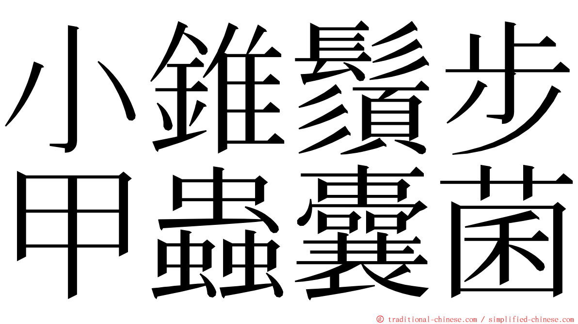 小錐鬚步甲蟲囊菌 ming font