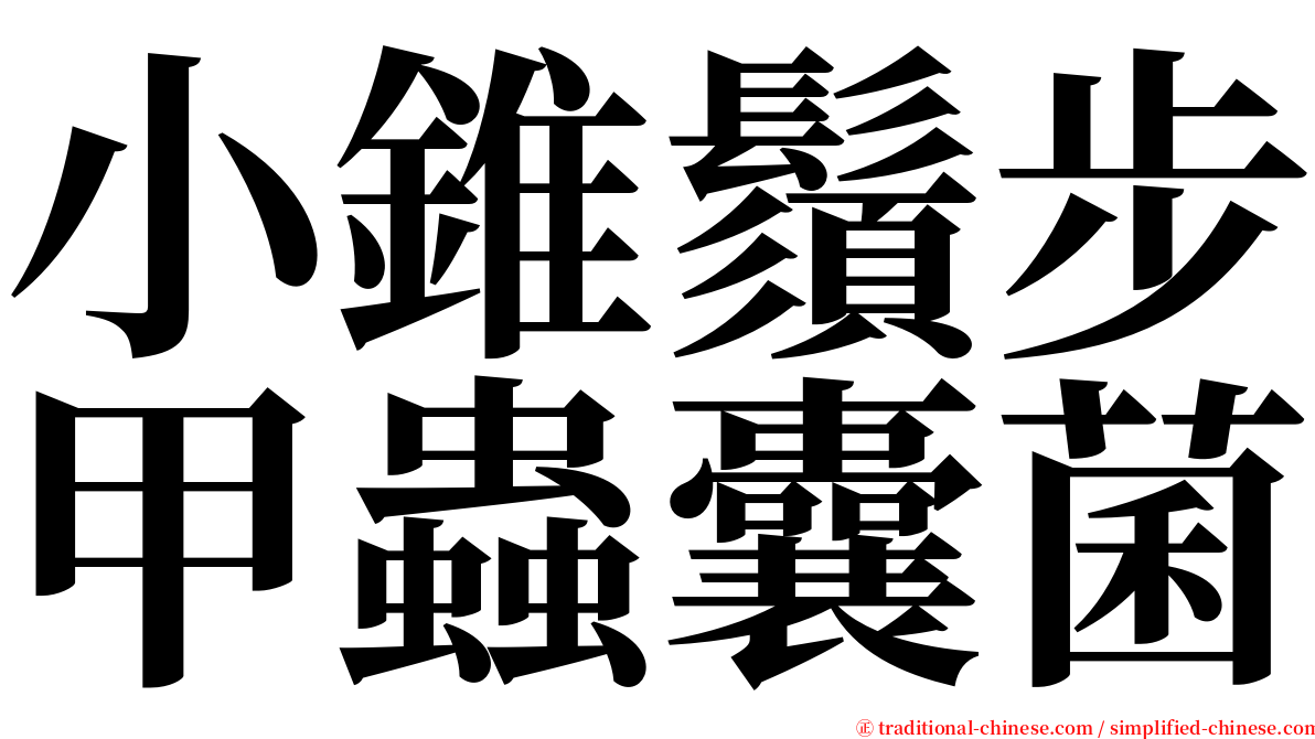 小錐鬚步甲蟲囊菌 serif font