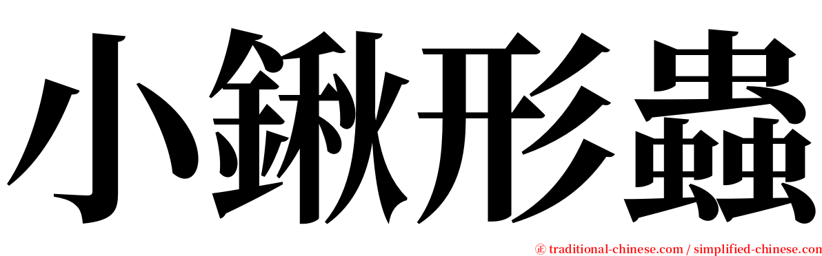 小鍬形蟲 serif font