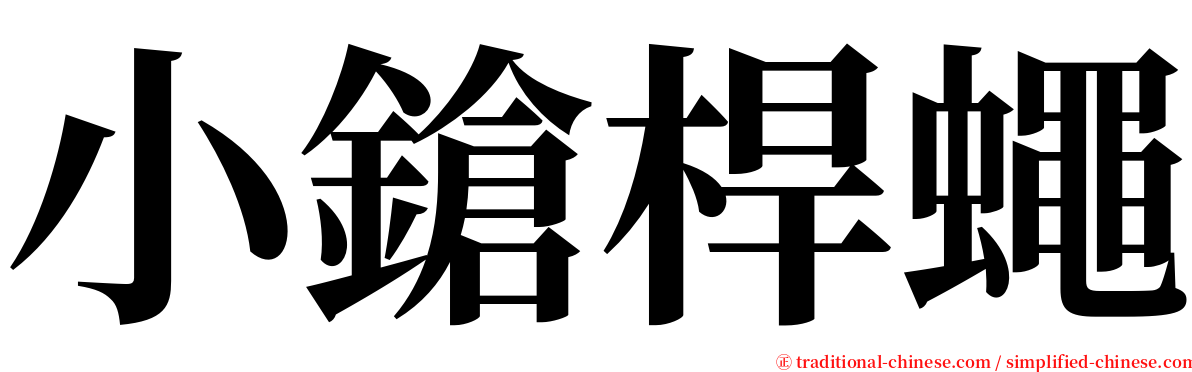 小鎗桿蠅 serif font