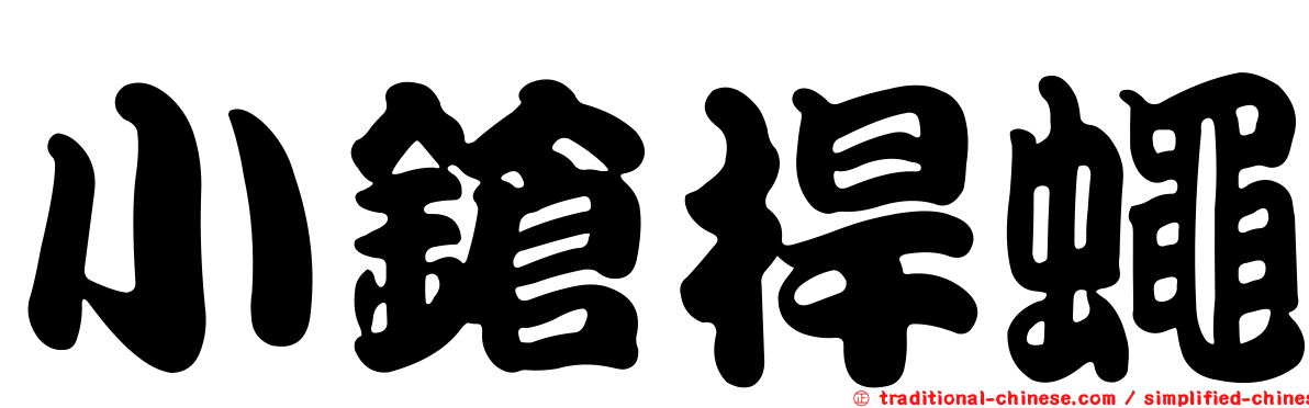 小鎗桿蠅
