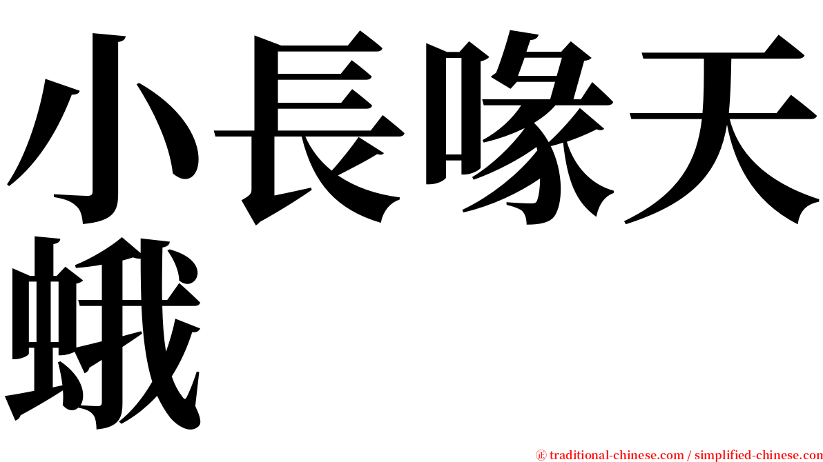 小長喙天蛾 serif font