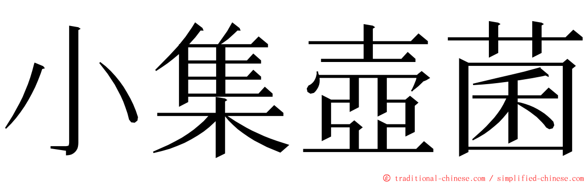 小集壺菌 ming font