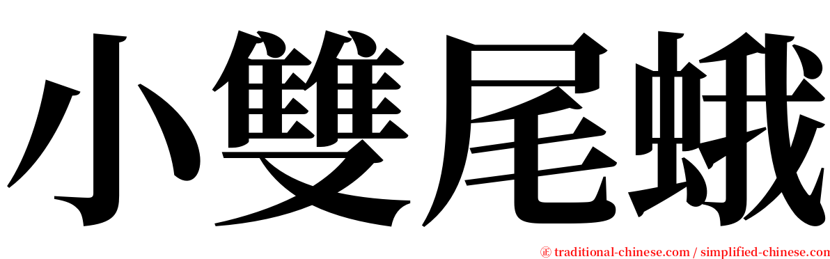 小雙尾蛾 serif font