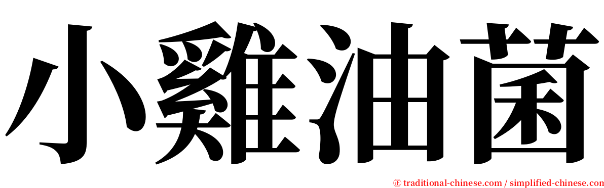 小雞油菌 serif font