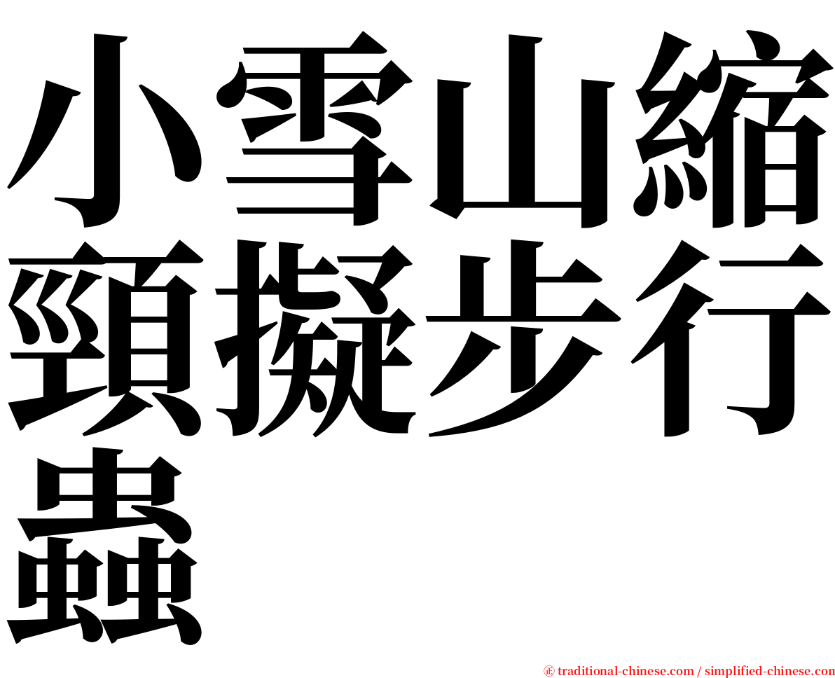 小雪山縮頸擬步行蟲 serif font