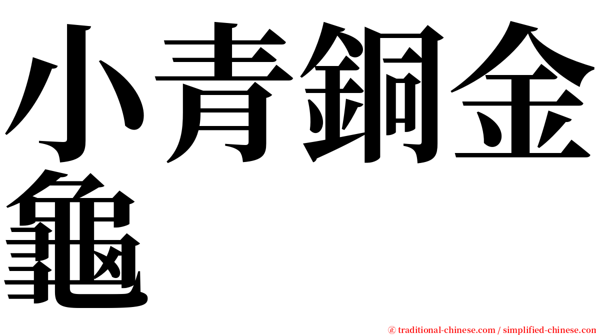 小青銅金龜 serif font