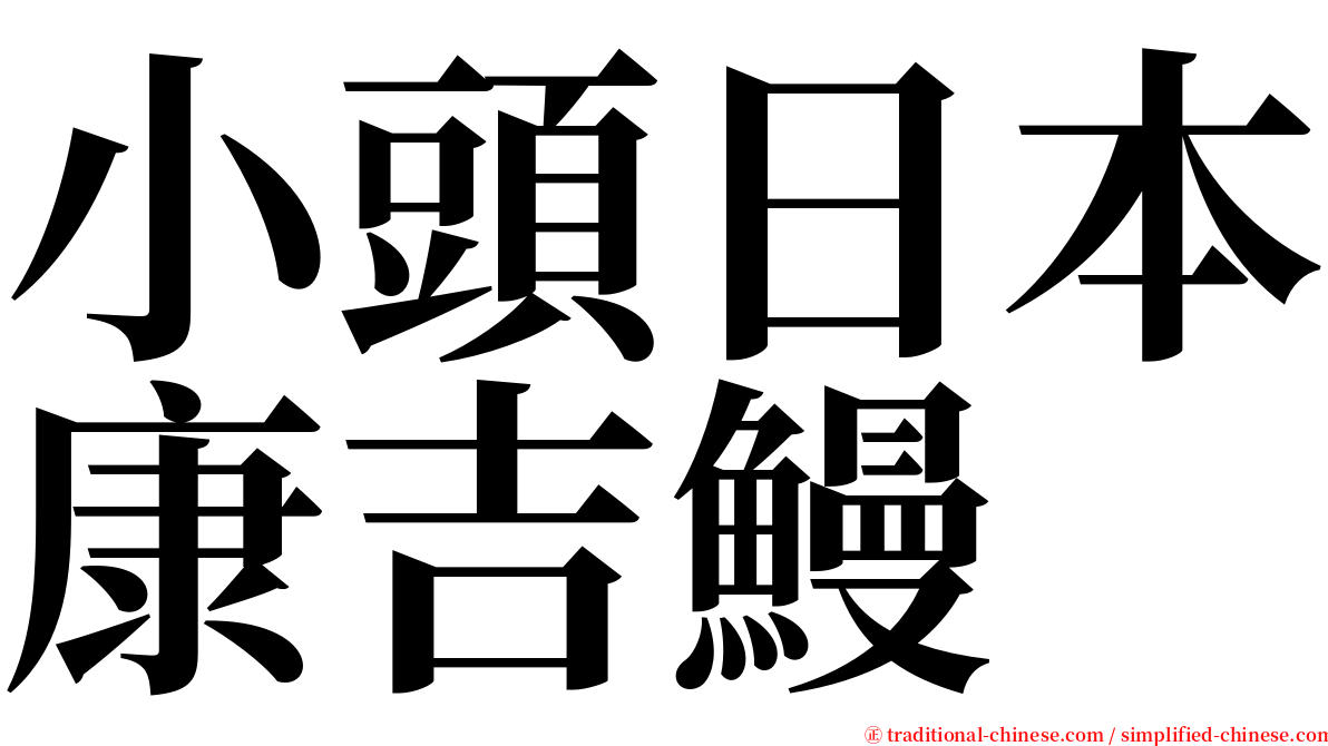 小頭日本康吉鰻 serif font