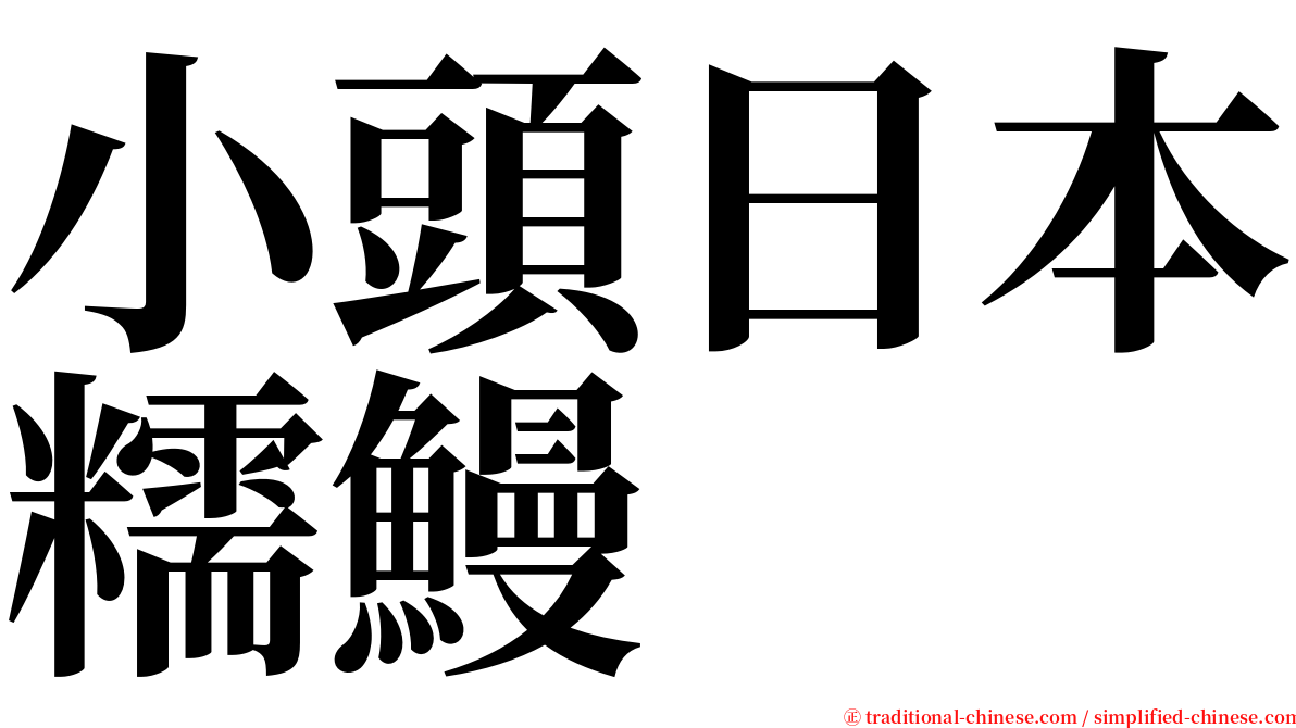 小頭日本糯鰻 serif font