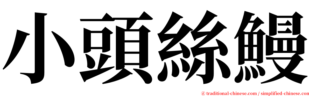 小頭絲鰻 serif font