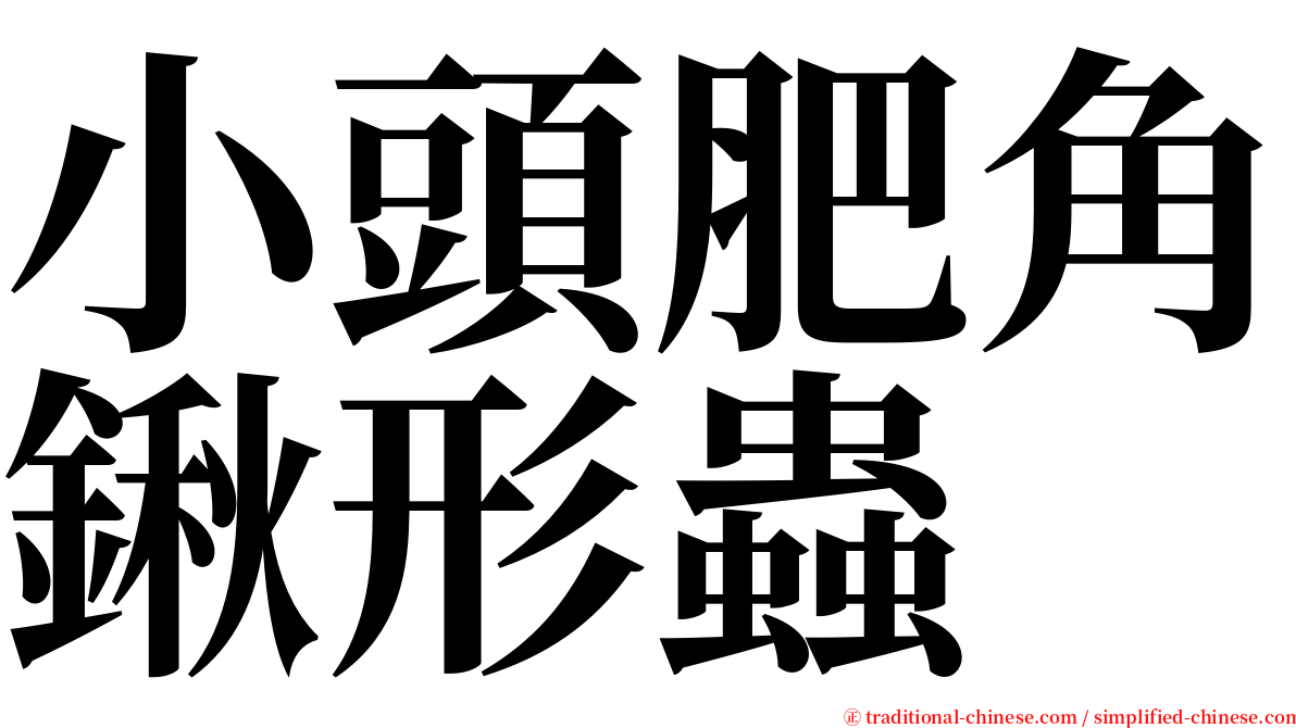 小頭肥角鍬形蟲 serif font