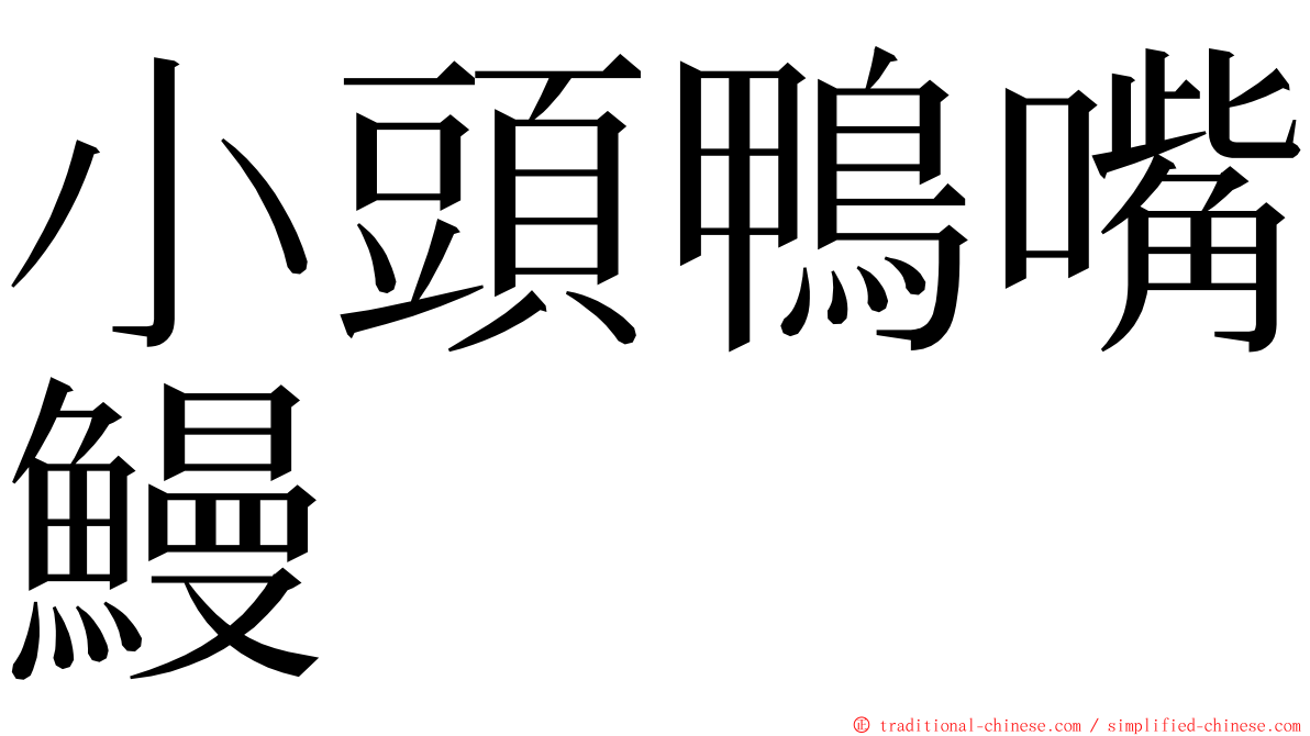 小頭鴨嘴鰻 ming font