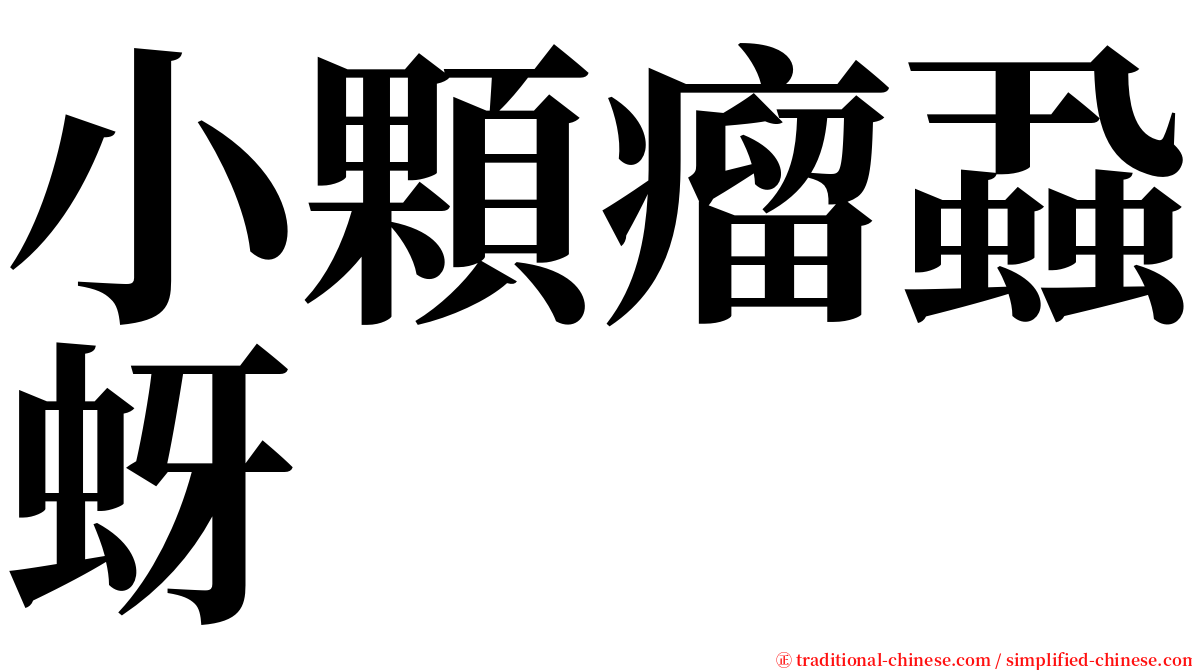 小顆瘤蝨蚜 serif font