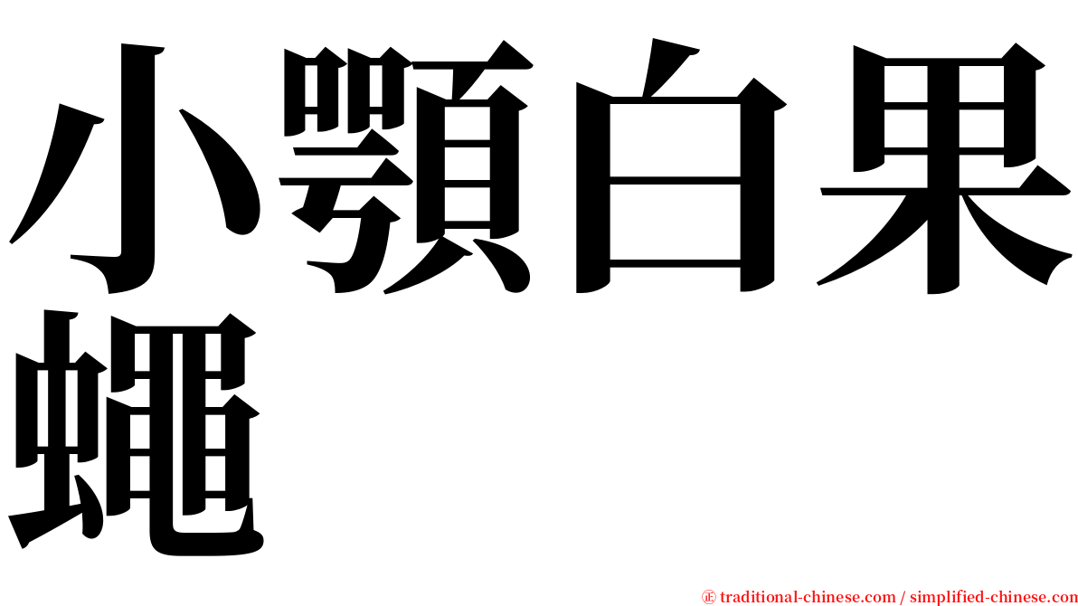 小顎白果蠅 serif font