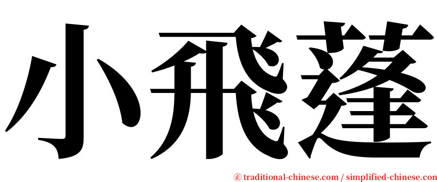 小飛蓬 serif font