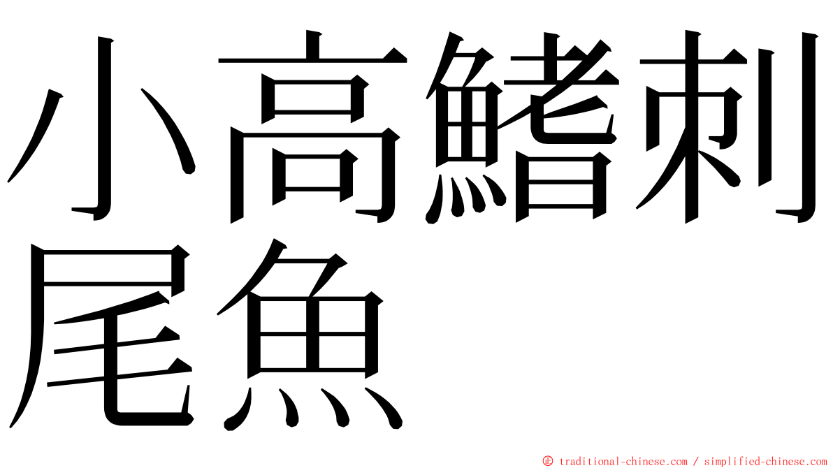 小高鰭刺尾魚 ming font