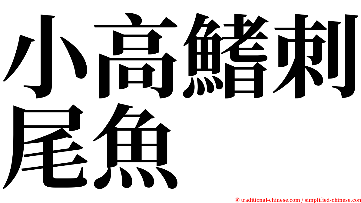 小高鰭刺尾魚 serif font