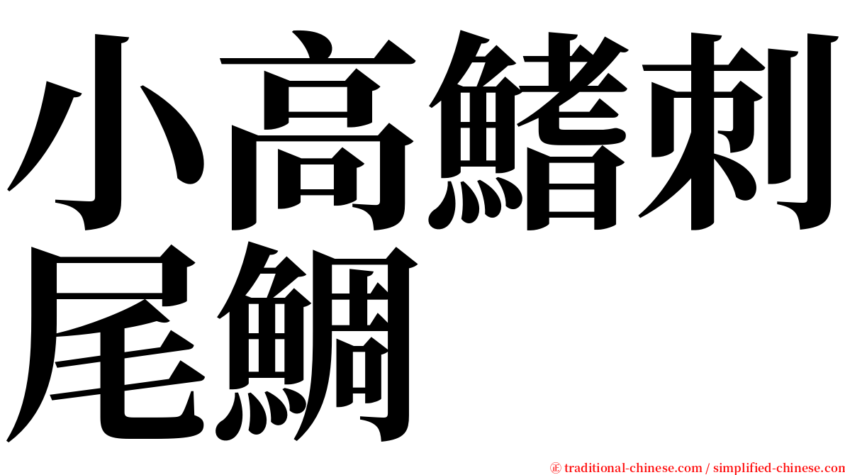 小高鰭刺尾鯛 serif font