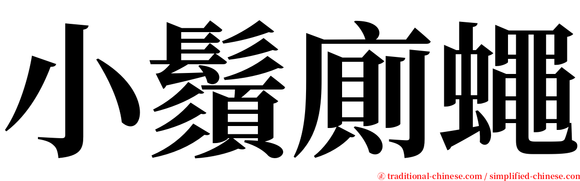 小鬚廁蠅 serif font