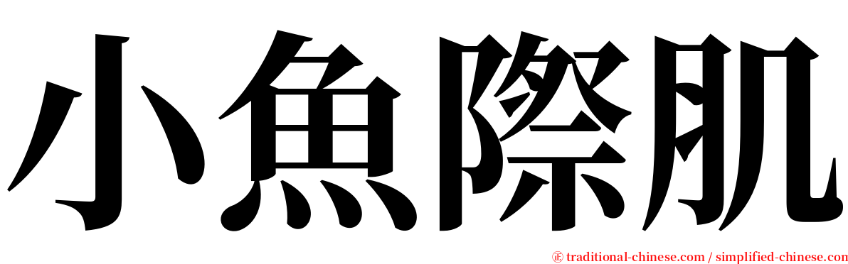 小魚際肌 serif font