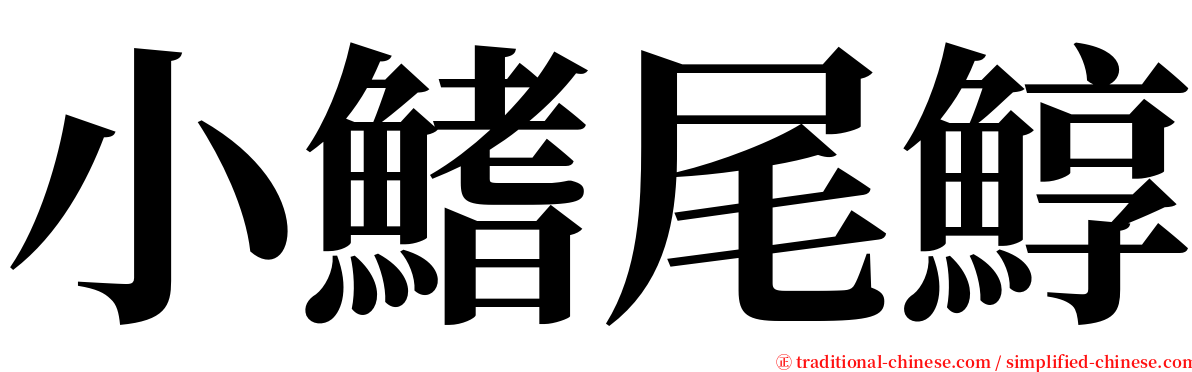 小鰭尾鯙 serif font