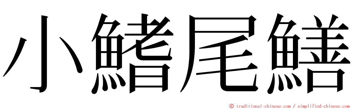 小鰭尾鱔 ming font