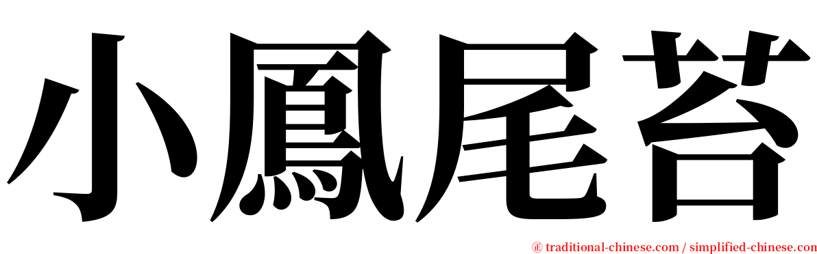 小鳳尾苔 serif font